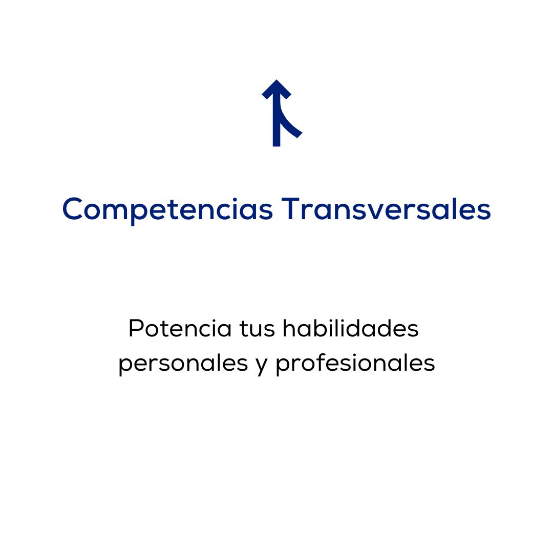 Competencias Transversales